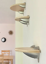 Load image into Gallery viewer, Purrfectly Catastic, cat cats kitten kitty modern contemporary wall mount mounted indoor shelf shelves shelving step steps stairs bed corner condo tower hammock house perch perches furniture climbing handcrafted tree trees tower towers wave modular wood wooden unique carpet canvas living bedrroom playroom
