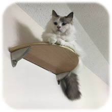 Load image into Gallery viewer, Purrfectly Catastic, cat cats kitten kitty modern contemporary wall mount mounted indoor shelf shelves shelving step steps stairs bed corner condo tower hammock house perch perches furniture climbing handcrafted tree trees tower towers wave modular wood wooden unique carpet canvas living bedrroom playroom

