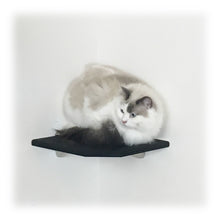 Load image into Gallery viewer, Purrfectly Catastic, cat cats kitten kitty modern contemporary wall mount mounted indoor shelf shelves shelving step steps stairs bed corner condo tower hammock house perch perches furniture climbing handcrafted tree trees tower towers wave modular wood wooden unique carpet canvas living bedrroom playroom
