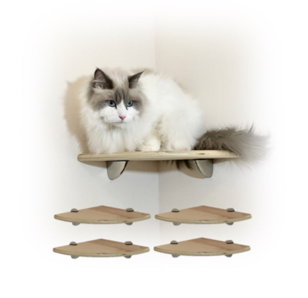 Purrfectly Catastic, cat cats kitten kitty modern contemporary wall mount mounted indoor shelf shelves shelving step steps stairs bed corner condo tower hammock house perch perches furniture climbing handcrafted tree trees tower towers wave modular wood wooden unique carpet canvas living bedrroom playroom