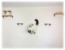 Load image into Gallery viewer, Purrfectly Catastic, cat cats kitten kitty modern contemporary wall mount mounted indoor shelf shelves shelving step steps stairs bed corner condo tower hammock house perch perches furniture climbing handcrafted tree trees tower towers wave modular wood wooden unique carpet canvas living bedrroom playroom
