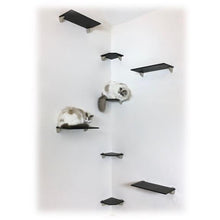 Load image into Gallery viewer, Purrfectly Catastic, cat cats kitten kitty modern contemporary wall mount mounted indoor shelf shelves shelving step steps stairs bed corner condo tower hammock house perch perches furniture climbing handcrafted tree trees tower towers wave modular wood w
