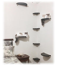 Load image into Gallery viewer, Purrfectly Catastic, cat cats kitten kitty modern contemporary wall mount mounted indoor shelf shelves shelving step steps stairs bed corner condo tower hammock house perch perches furniture climbing handcrafted tree trees tower towers wave modular wood w
