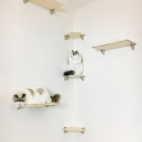 Purrfectly Catastic, cat cats kitten kitty modern contemporary wall mount mounted indoor shelf shelves shelving step steps stairs bed corner condo tower hammock house perch perches furniture climbing handcrafted tree trees tower towers wave modular wood wooden unique carpet canvas living bedrroom playroom