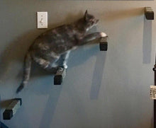 Load image into Gallery viewer, Purrfectly Catastic Creations, Cat wall tree, wall mounted cat tree, cat wall mounts, cat wall playground, Cat Shelf, Cat Shelves, Cat Wall Shelf, Cat Wall Shelves, Cat Perch, Cat Wall Perch, Cat Tree Shelves, Cat Wall Tree Tower,  cat wall furniture, cat shelving, cat wall steps, cat wall stairs, cat climbing wall, handcrafted cat furniture trees towers

